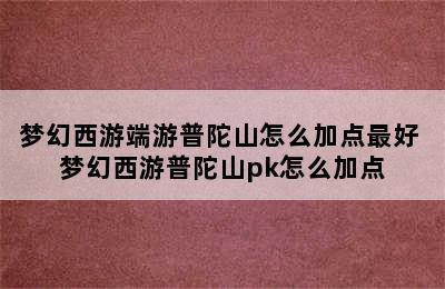 梦幻西游端游普陀山怎么加点最好 梦幻西游普陀山pk怎么加点